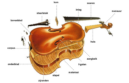 afbeelding onderdelen viool